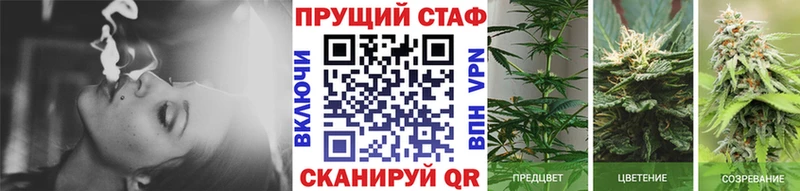 Где купить наркоту Чудово АМФ  ГАШИШ  Псилоцибиновые грибы  МЕТАМФЕТАМИН  СОЛЬ  Марихуана  COCAIN 
