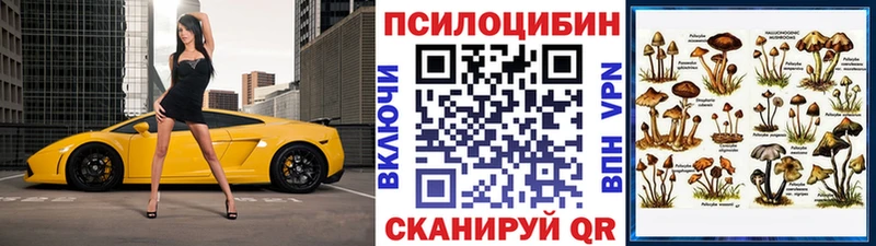 Псилоцибиновые грибы Psilocybine cubensis  хочу   Чудово 